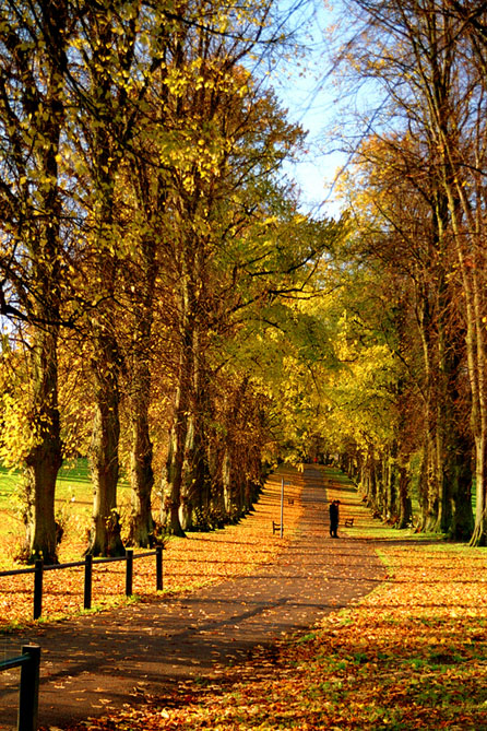 Rothamsted Park image